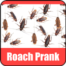 Roach Scare Prank APK