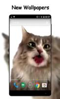 Cat Licks HD Video LWP capture d'écran 2
