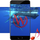 Blue Whale APK