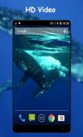 الحوت الأزرق تصوير الشاشة 1