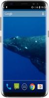 Blue Whale 截图 3