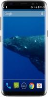 Blue Whale ảnh chụp màn hình 3