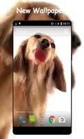 Dog Cleans Screen Wallpaper Affiche