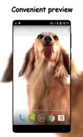 Dog Cleans Screen Wallpaper capture d'écran 2