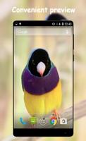 Menyanyi Burung Wallpaper screenshot 2