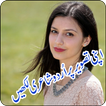 Urdu Poetry on Photos