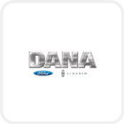 Dana Ford Lincoln-icoon