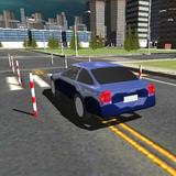 Dynamic Driving Test icône