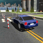 آیکون‌ Dynamic Driving Test