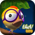 theV Bird