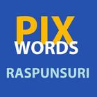 PixWords Raspunsuri 图标