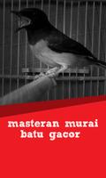 Masteran Murai Batu Gacor bài đăng
