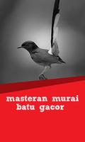 Masteran Murai Batu Gacor ảnh chụp màn hình 1