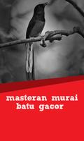 Masteran Murai Batu Gacor ảnh chụp màn hình 2