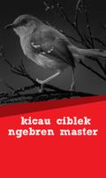 Kicau Ciblek Ngebren Master Affiche