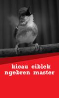 Kicau Ciblek Ngebren Master ảnh chụp màn hình 1