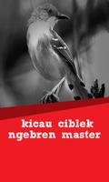 Kicau Ciblek Ngebren Master ảnh chụp màn hình 3