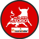 FM TORO 98.3 MHz Clorinda APK