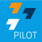 DMFV Pilot icon