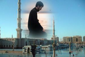 Macca Photo Frame 截圖 3