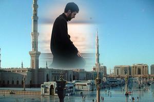 Macca Photo Frame تصوير الشاشة 3