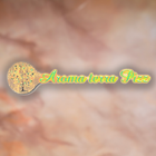 Aroma terra Pizz أيقونة