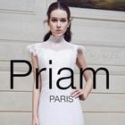 Priam Paris icône