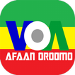 ”Afaan Oromoo News