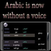 Turkish Arabic verbs screenshot 2