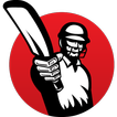 Cricket Hub