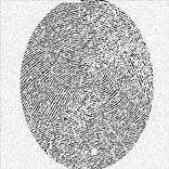 AFIS Mobile full Version  - no