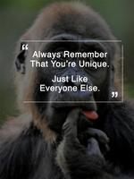 Funny Quotes 截图 3