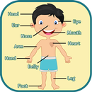 Learning Human Body Parts APK