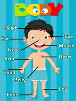 Learning Human Body Parts-poster