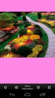 Flower Garden Plants Ideas 스크린샷 1