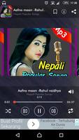 Nepali Popular Songs Collection (Audio / MP3)-poster