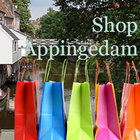 Shop APPingedam icône