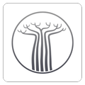 Baobab Daily