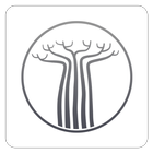 Baobab Daily icône