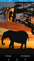African Sunset Live Wallpaper Affiche