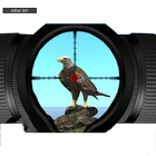 鸟类射击：丛林中的冒险 图标