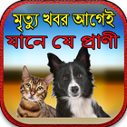 মৃত্যু খবর আগেই যানে যে প্রাণী icon