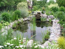 Fish Pond Design ภาพหน้าจอ 3