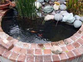 Fish Pond Design ภาพหน้าจอ 1