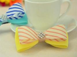 Hair Bow Ideas poster