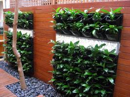 Planter Ideas screenshot 3