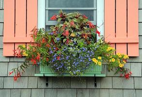 Window Box Planter Ideas screenshot 1