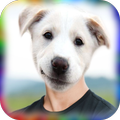 Animal Face Sticker Photo