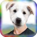 Animal Face Sticker Photo APK