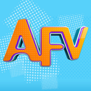 AFV: America Funniest Videos APK